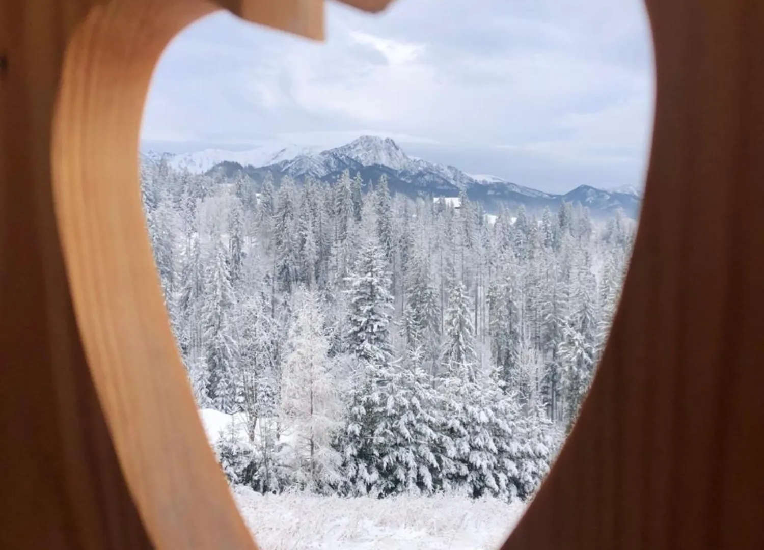 Tatrzanska Polana - Tatra Mountain View, Free Parking & Wifi Apartment Zakopane