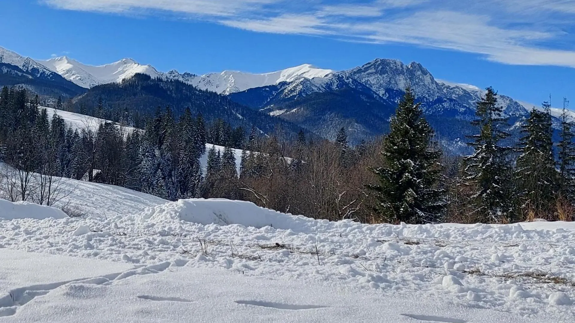 Апартаменты Tatrzanska Polana - Tatra Mountain View, Free Parking & Wifi Закопане Польша